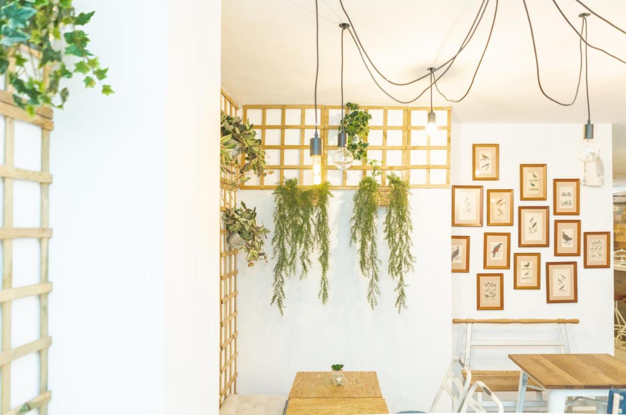 Picnic Dreams Boutique Hostel Malaga Ngoại thất bức ảnh