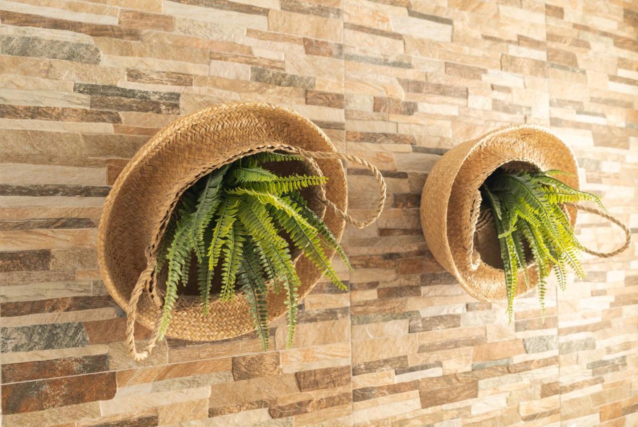 Picnic Dreams Boutique Hostel Malaga Ngoại thất bức ảnh